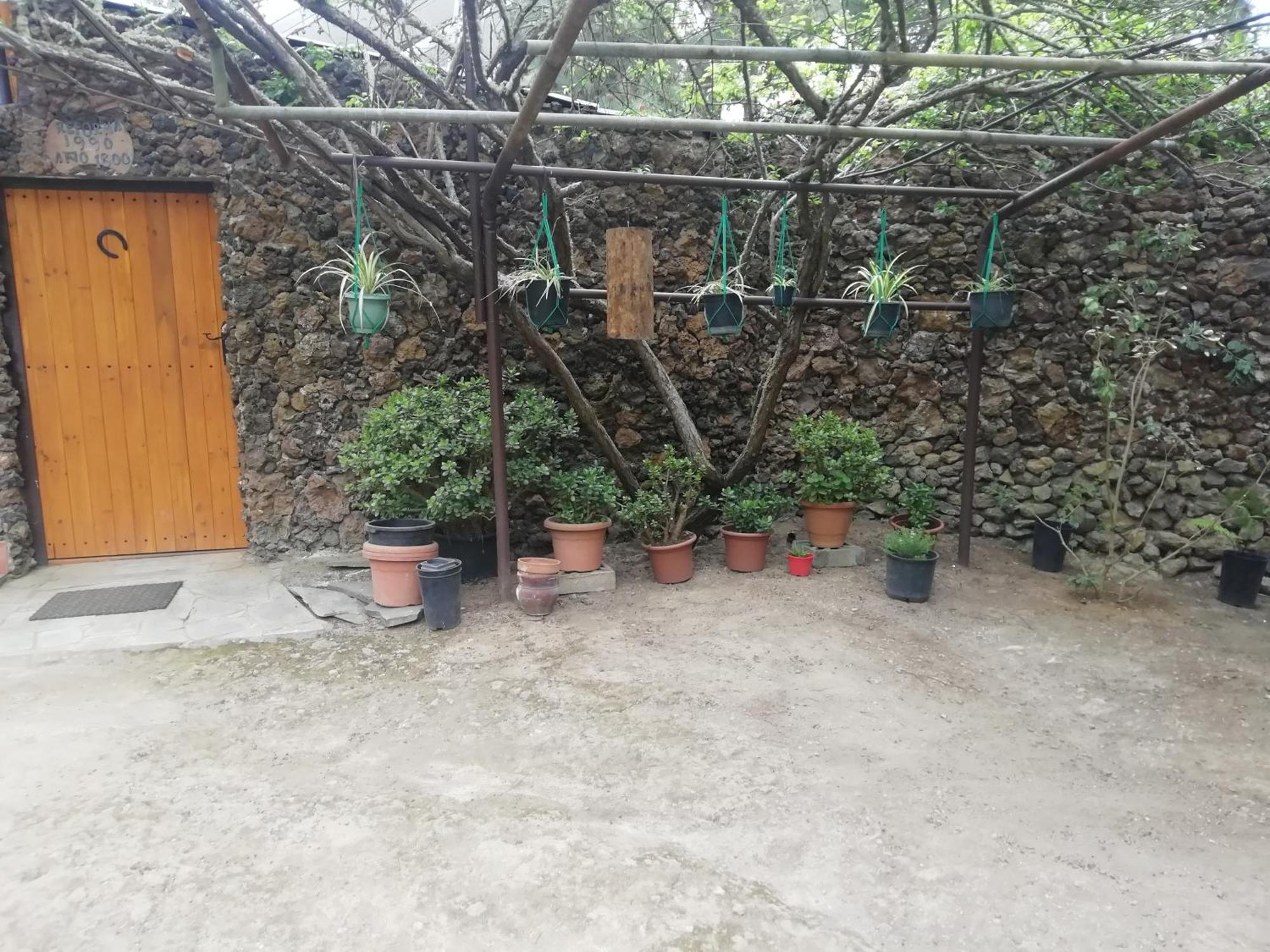 Casa Ecologica, Autosuficiente En Lomo Blanco, Dentro De Una Casa Rodeada De Naturaleza San Juan de la Rambla ภายนอก รูปภาพ
